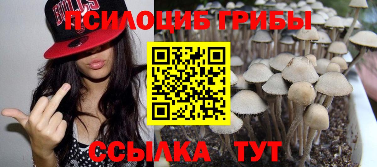 Псилоцибиновые грибы прущие грибы Бутурлиновка